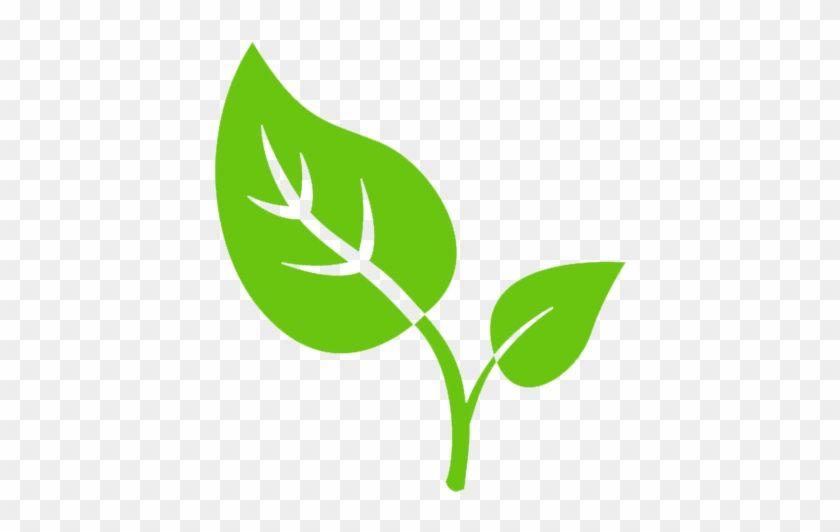Tobacco Leaf Logo - Graphics For Tobacco Leaf Graphics - Tobacco Leaf Icon Png - Free ...