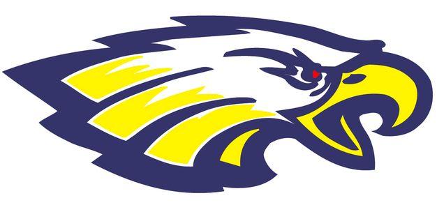 Naples High School Eagle Logo - Naples High School