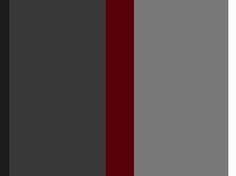 Dark Grey and Red Logo - Best Color Palettes: Red White Black Grey image. Color boards