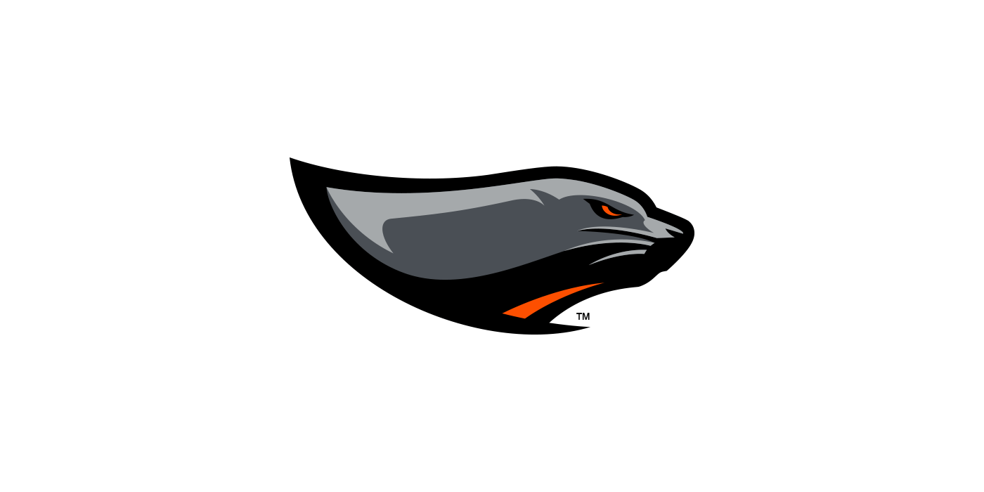 Sea Lions Sports Logo - Gridiron Labs. Brand, Logo, Sports Identity, Graphic Design
