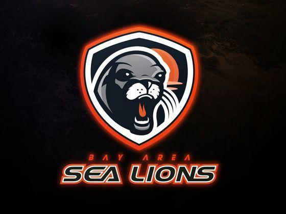 Sea Lions Sports Logo - Bay Area Sea Lions Concept. Sports logo's