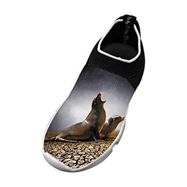 Sea Lions Sports Logo - Amazon.com: Sea Lions Flyknit Shoes Light Sports Transform Running ...
