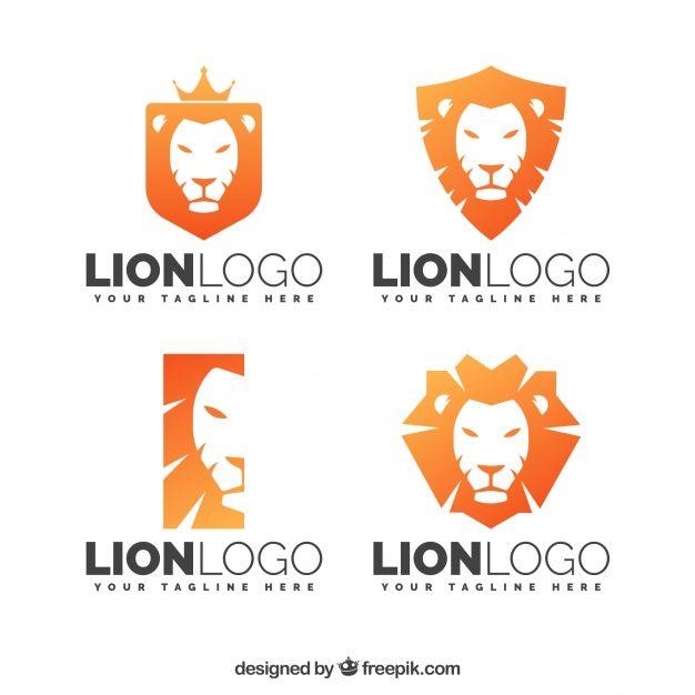 Orange Lion Logo - Orange lion logos Vector