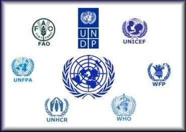 United Nations Logo - How to get a job at the United Nations