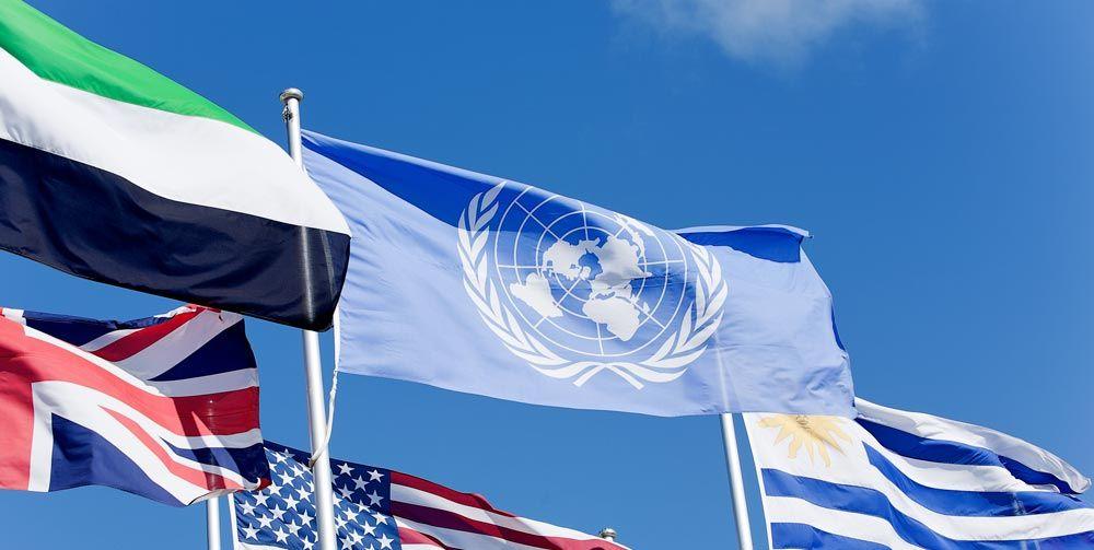 United Nations Logo - The UN Logo. UN Logo. Logo Design Case Study