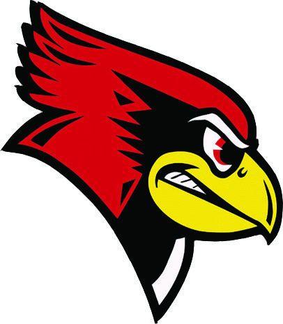 Red Bird Logo - Redbird logo | | pantagraph.com
