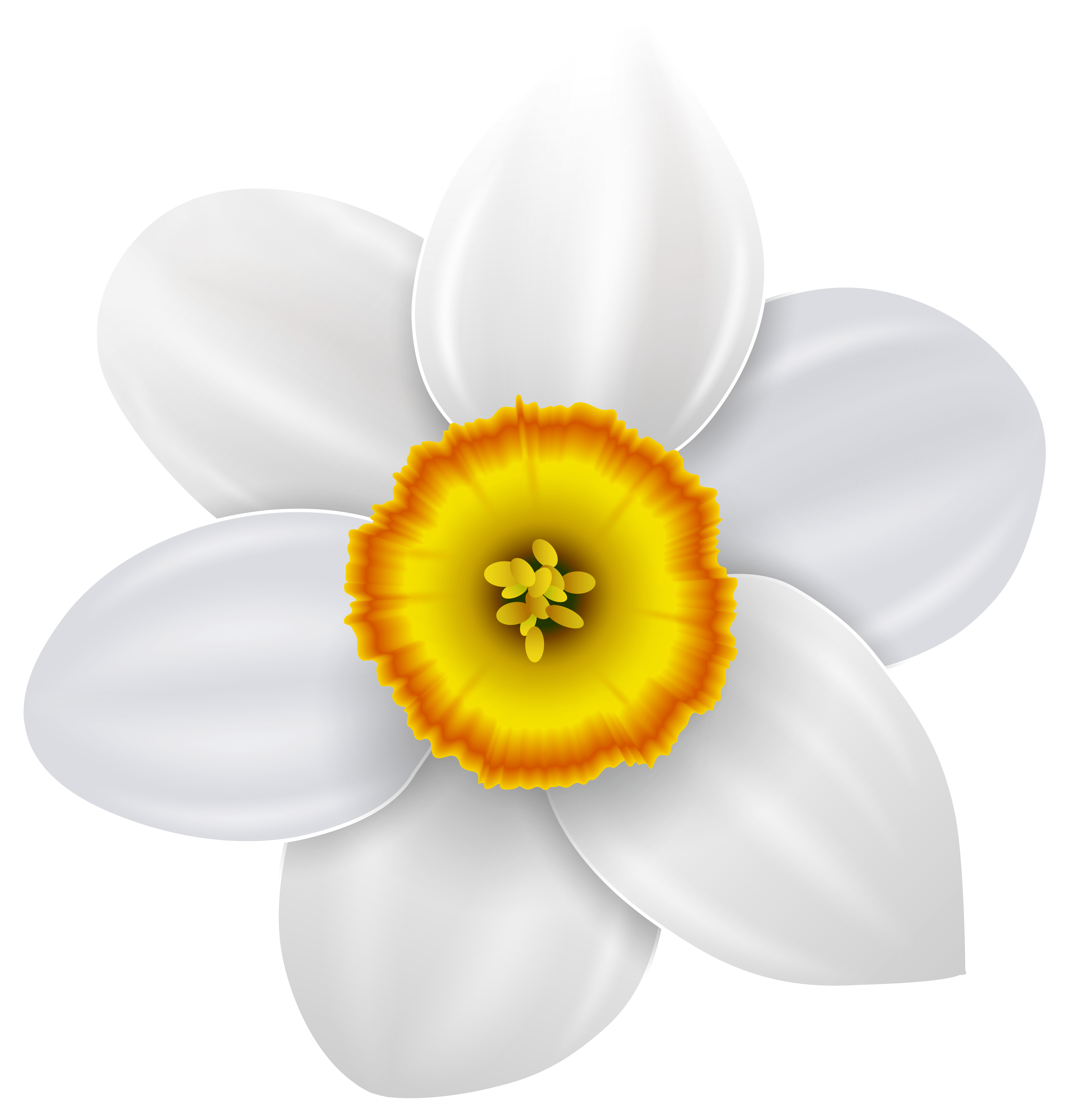 Narcissus Flower Logo - Narcissus Transparent PNG Clip Art Image | Gallery Yopriceville ...