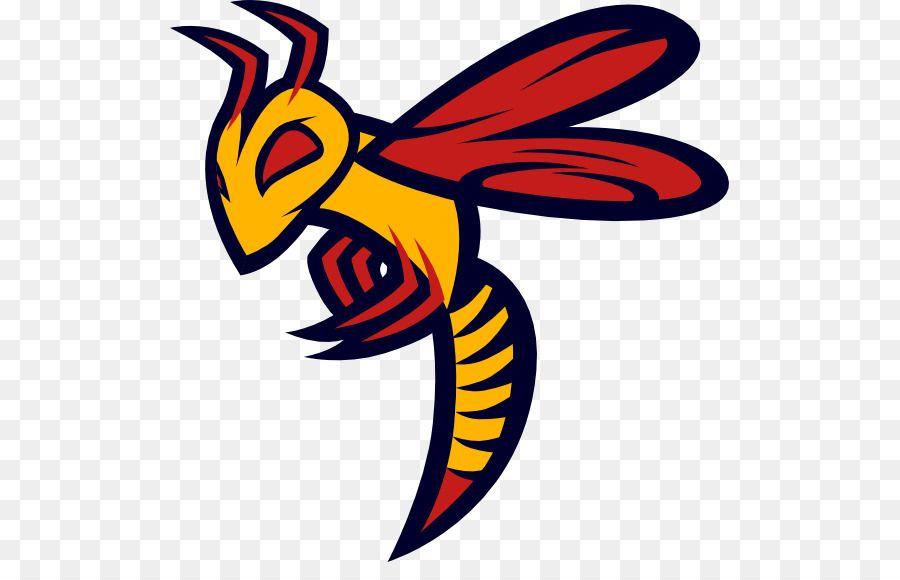 Hornets Logo - Charlotte Hornets Logo Clip art png download*562