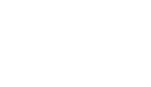 Sheer Logo - Blaze Archives