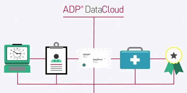 ADP Cloud Logo - Finance Insights for Large Business | 1000+ Employees | ADP