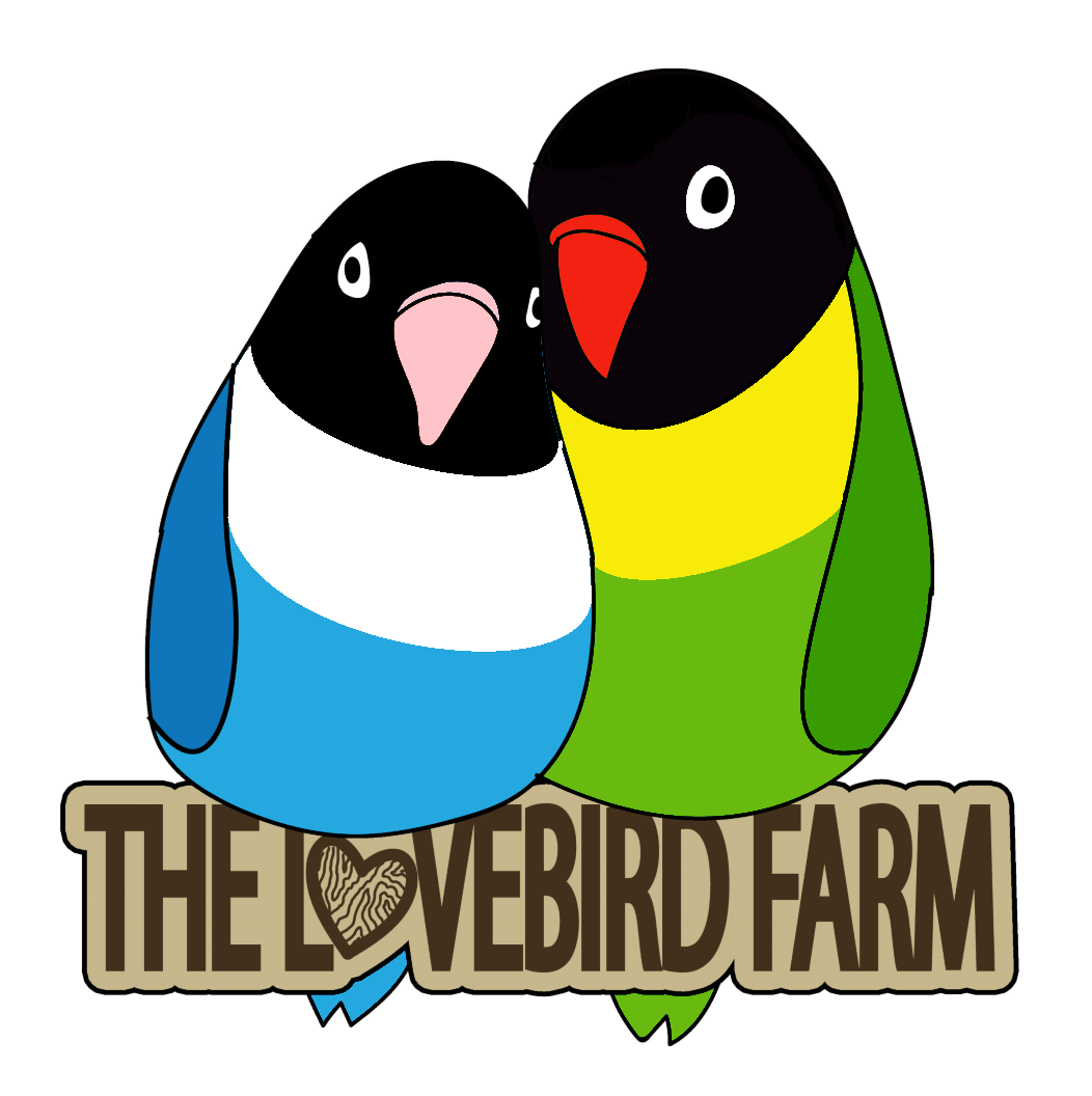 Love Bird Logo - The Lovebird Farm