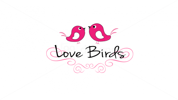 Love Bird Logo - love birds logo - Google Search | Packaging2 - Bird Seed | Birds ...