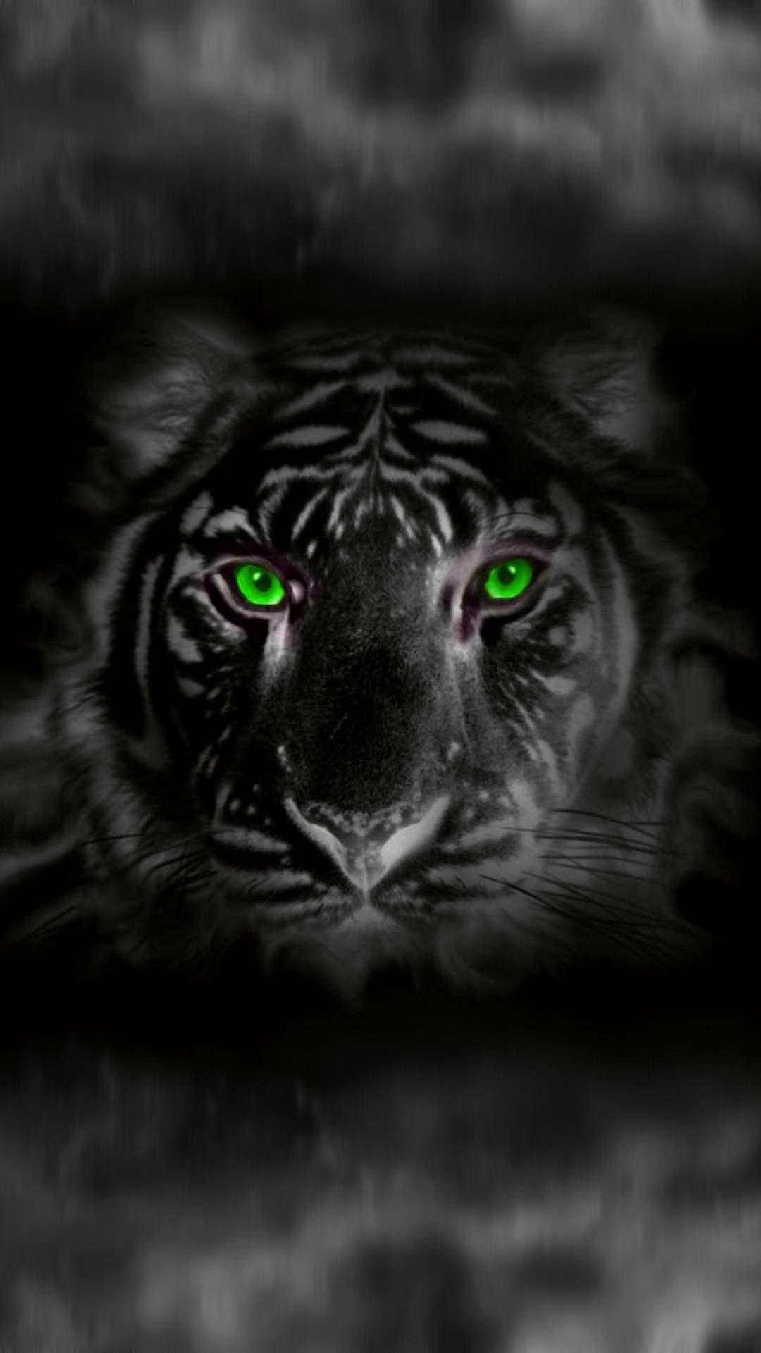 Black and White with Green Eye Logo - White tiger with green eyes. Big cats. Cats, Animals, Big cats