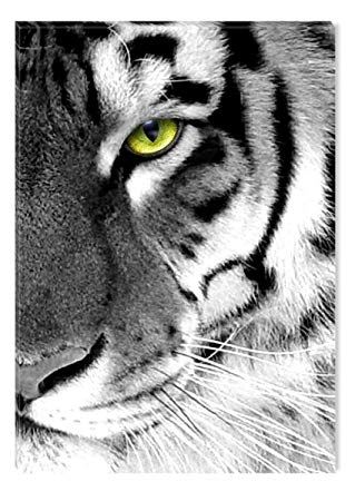 Black and White with Green Eye Logo - Amazon.com: STARTONIGHT Canvas Wall Art Black and White Abstract ...