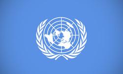 Woman Holding Baby Blue Logo - Top 10 logos from the United Nations | SpellBrand®