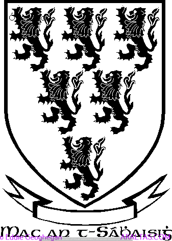 Savage Family Logo - Savage coat of arms, Savage family crest, Savage heraldry, Savage