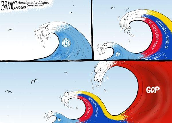 GOP Red Wave Logo - WHAT BLUE WAVE?