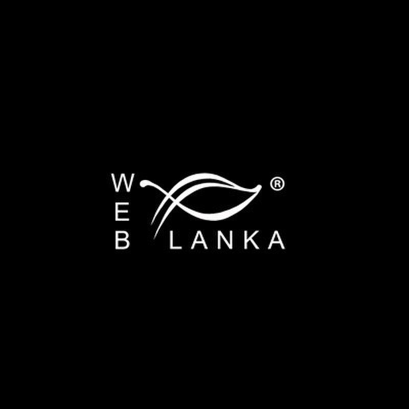 Web Eye Logo - Web Eye Lanka: Webdesign in Kandy, Sri Lanka - Business