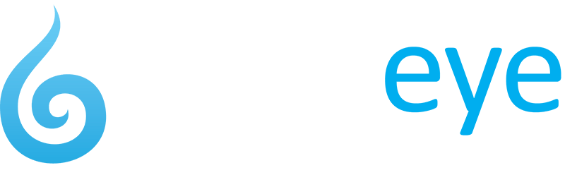 Web Eye Logo - Webeye - Digital Marketing