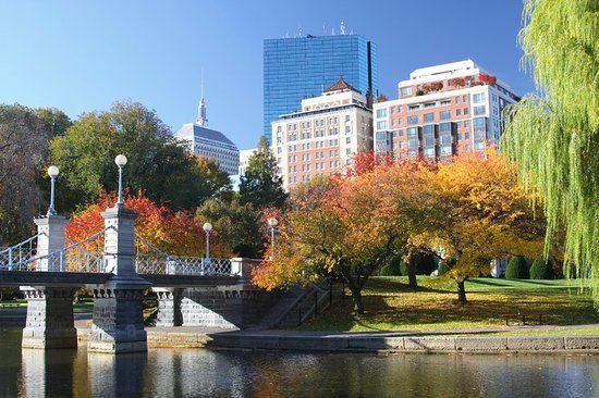 Taj Hotel Boston Logo - TAJ BOSTON (MA) - Hotel Reviews, Photos & Price Comparison - TripAdvisor