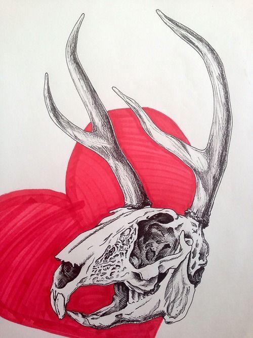 Jackalope Skull Logo - eny can draw | Day 6 is a jackalope skull! Fact of the day: a ...