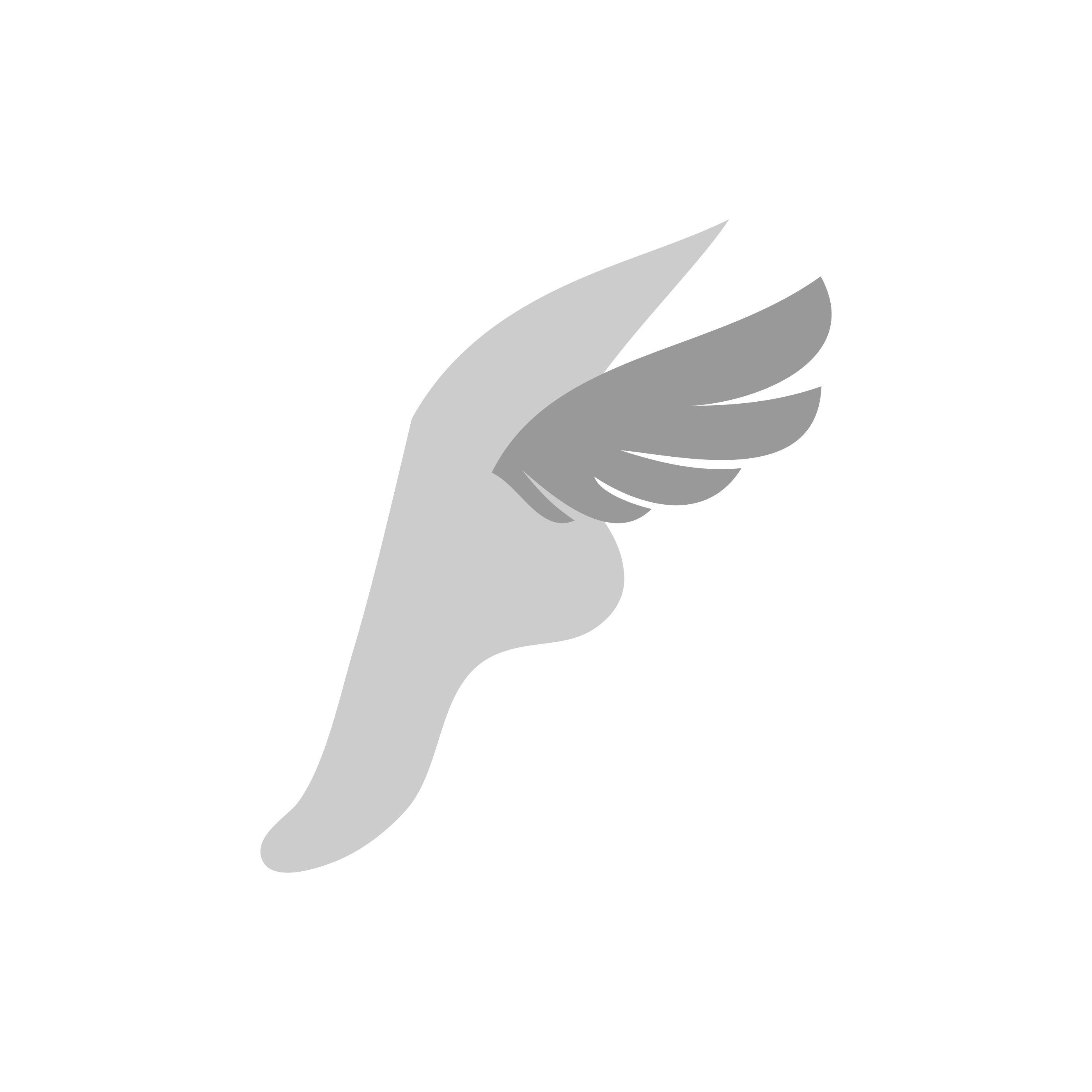 Flying Foot Logo - Flying foot » StoreFront