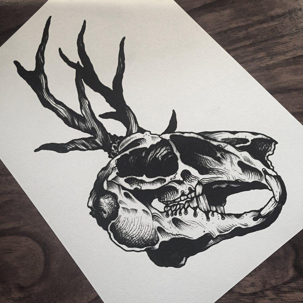 Jackalope Skull Logo - Jackalope skull | Dom Wiley store