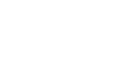 Stevens Gun Logo - Stevens – Curt's Gun Shop