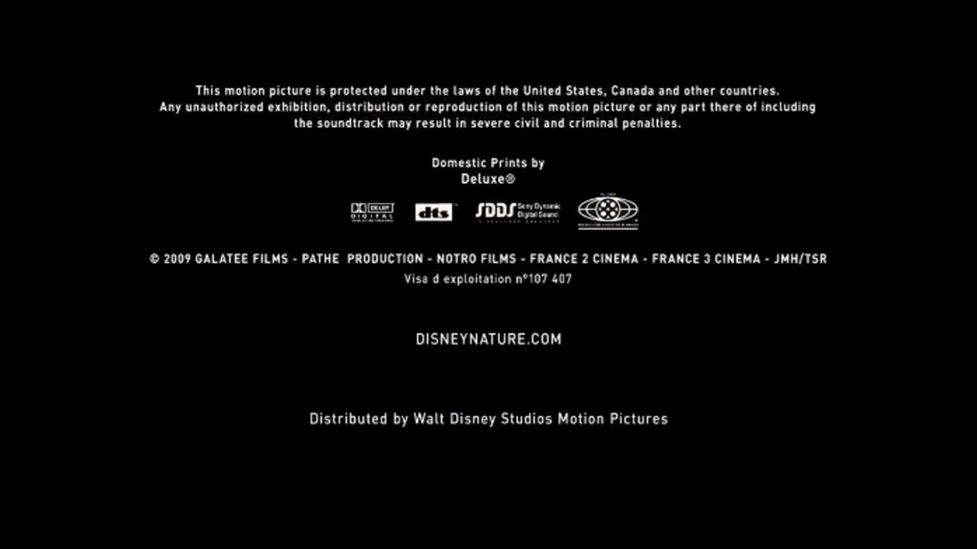Walt Disney Studios Motion Pictures Logo - Image - WALT DISNEY STUDIOS MOTION PICTURES OCEANS (2009).jpg | Logo ...