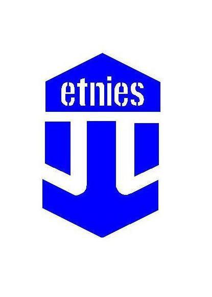 Etnies Logo - Etnies Logo | Die Cut Vinyl Sticker Decal | Sticky Addiction