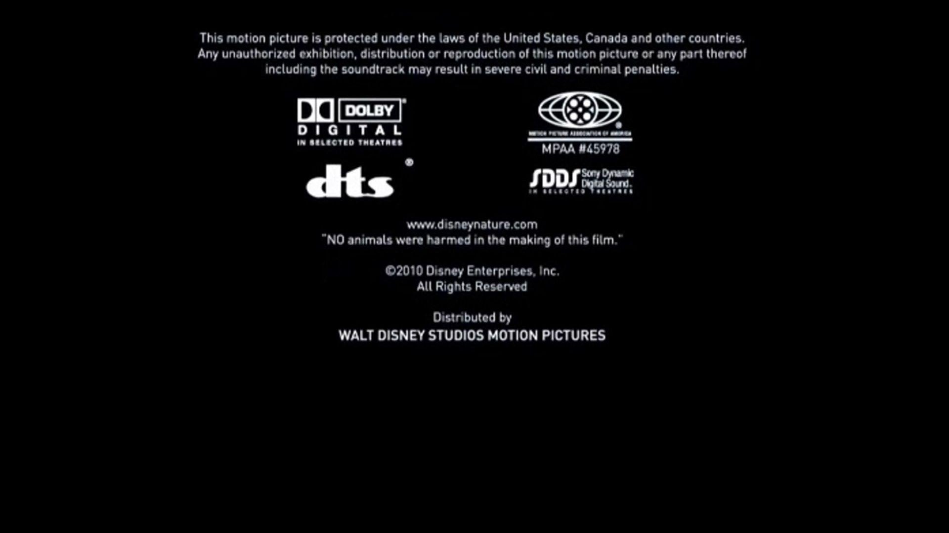 Walt Disney Studios Motion Pictures Logo - WALT DISNEY STUDIOS MOTION PICTURES WINGS OF LIFE