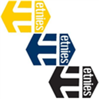 Etnies Logo - etnies-logo-skateBOARDING - Roblox