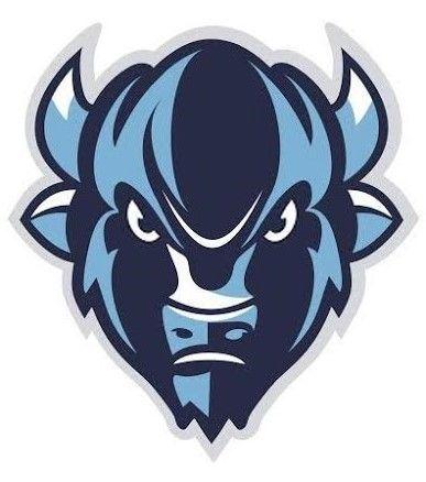 Cool Buffalo Logo - Pin by Chris Basten on Bison-Buffaloes Logos | Pinterest | Sports ...