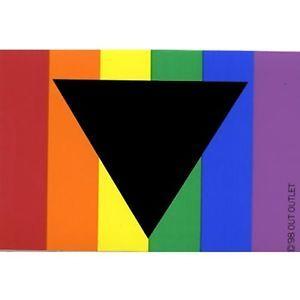 LGBT Triangle Logo - LGBT Gay Lesbian Rainbow Pride Window / Car Sticker Black Triangle