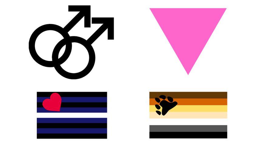 LGBT Triangle Logo - A Storied Glossary of Iconic LGBT Flags and Symbols