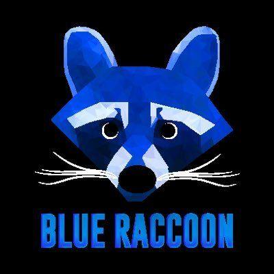 Blue Raccoon Logo - Blue Raccoon