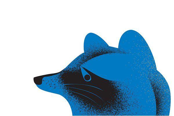 Blue Raccoon Logo - Blue Raccoon | Ryan James Agency