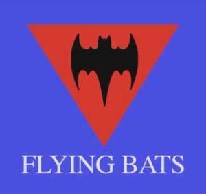 Flying Bat Logo - The Club's Evolution — The Flying Bats