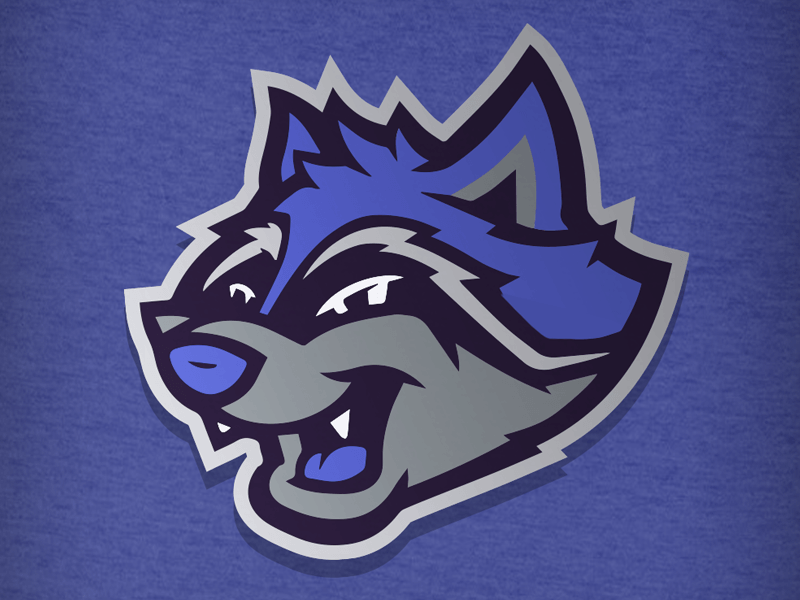 Blue Raccoon Logo - Raccoon Mascot Logo