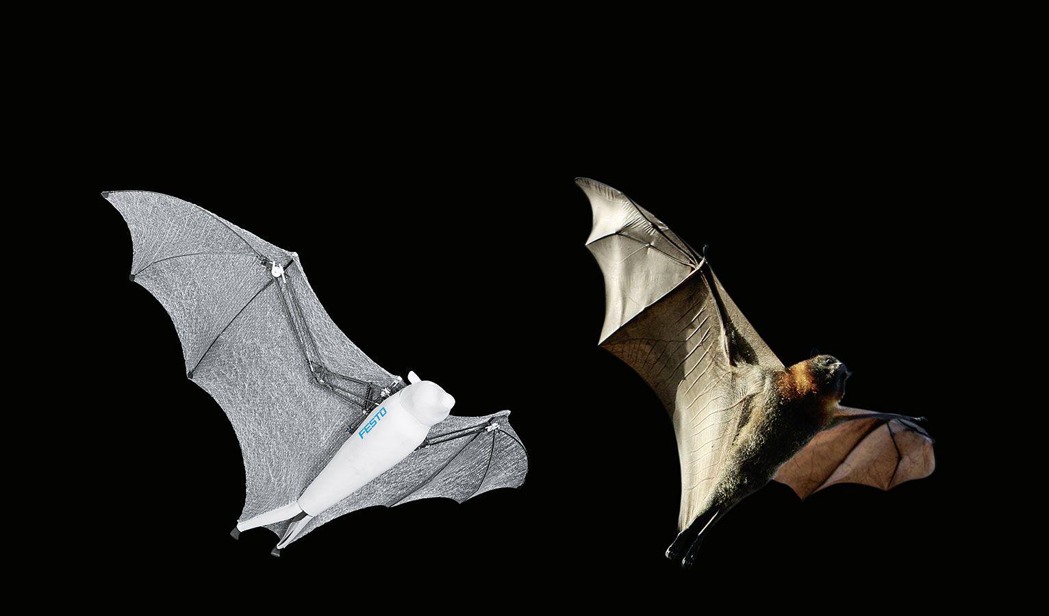 Flying Bat Logo - BionicFlyingFox
