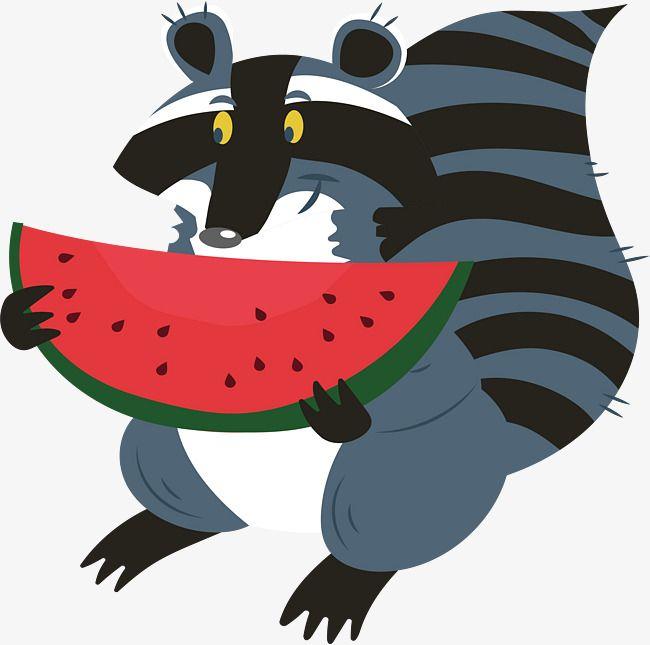 Blue Raccoon Logo - A Watermelon Eating Raccoon, Vector Png, Raccoon, Blue Raccoon PNG