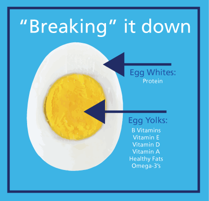 Egg Vitamin Logo - health benefits of eggs - Google zoeken | Health | Pinterest ...