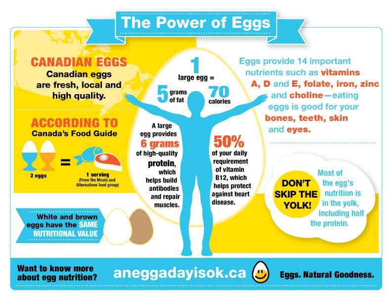 Egg Vitamin Logo - Egg nutrition | Egg Calories | Nutritional content of Eggs | Egg ...