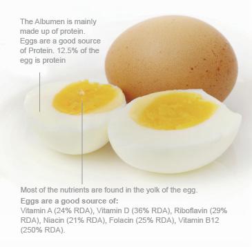 Egg Vitamin Logo - Diet & Nutrition