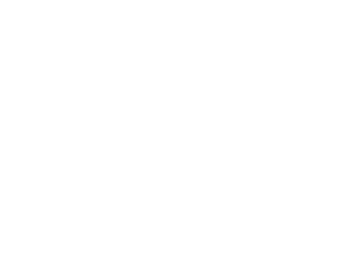 First Solar Logo - First Solar White