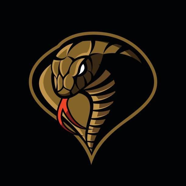 Cobra Football Logo - furious-cobra-sport-vector-vector-id651696036 (612×612) | Fantasy ...