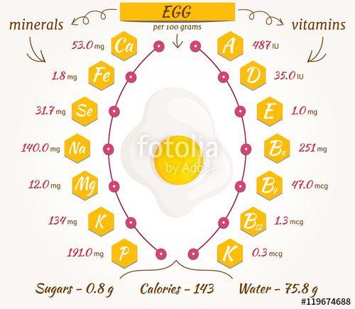 Egg Vitamin Logo - Egg infographics, nutrition facts, calories and analysis. Flat style ...