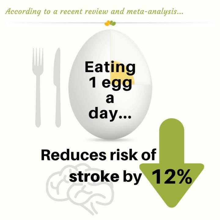 Egg Vitamin Logo - One egg per day associated with 12 percent reduced risk of stroke
