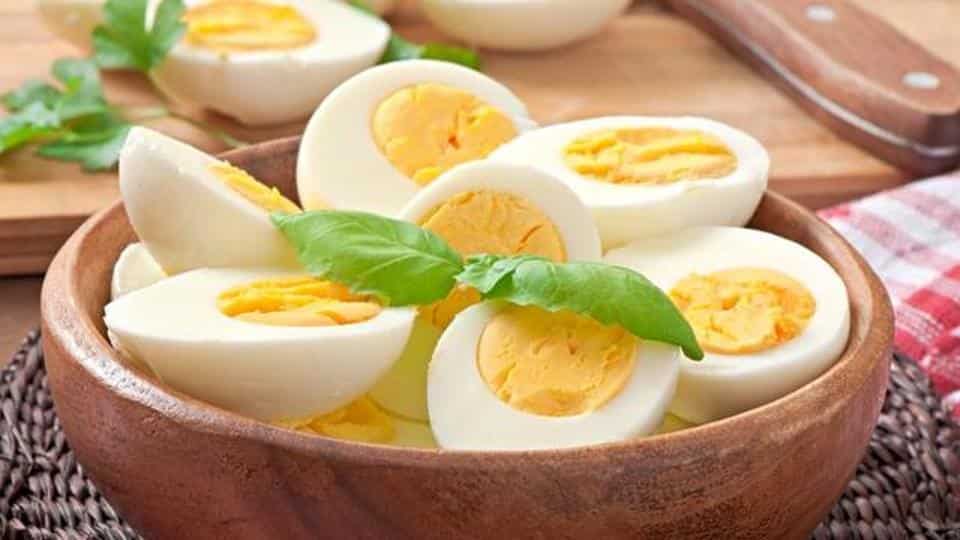 Egg Vitamin Logo - 5 reasons to eat more eggs, boost your fitness and weight loss ...