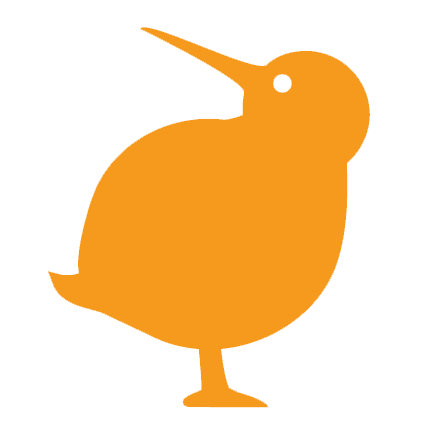 Orange Kiwi Bird Logo - kiwi interactive